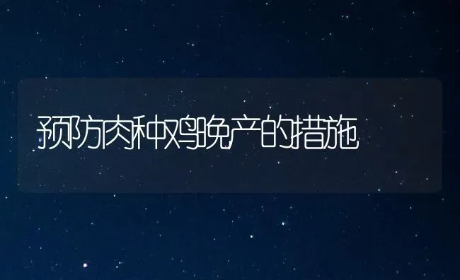 预防肉种鸡晚产的措施 | 家禽养殖