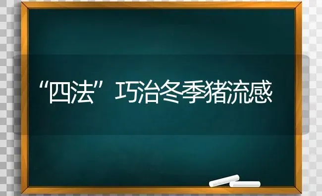 “四法”巧治冬季猪流感 | 家畜养殖