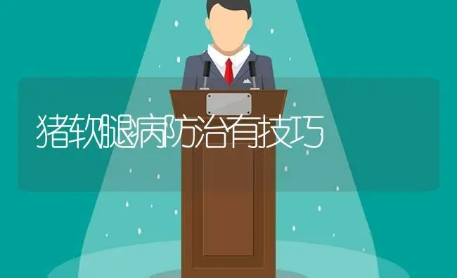 猪软腿病防治有技巧 | 家畜养殖