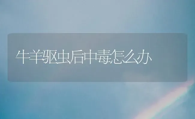 牛羊驱虫后中毒怎么办 | 家畜养殖