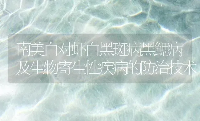 南美白对虾白黑斑病黑鳃病及生物寄生性疾病的防治技术 | 海水养殖