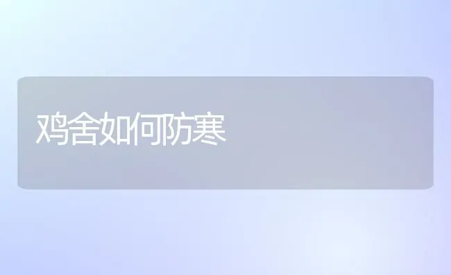 鸡舍如何防寒 | 家禽养殖