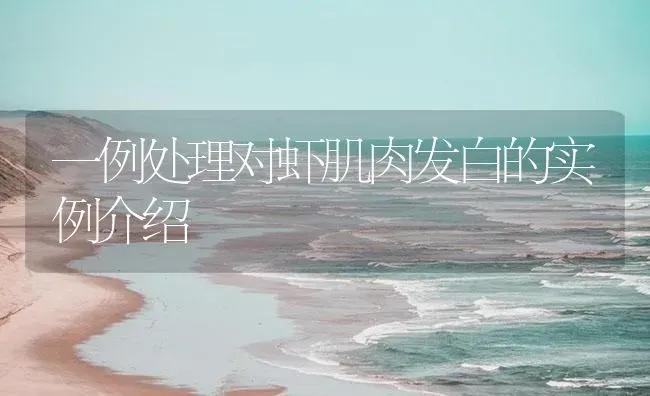 一例处理对虾肌肉发白的实例介绍 | 海水养殖