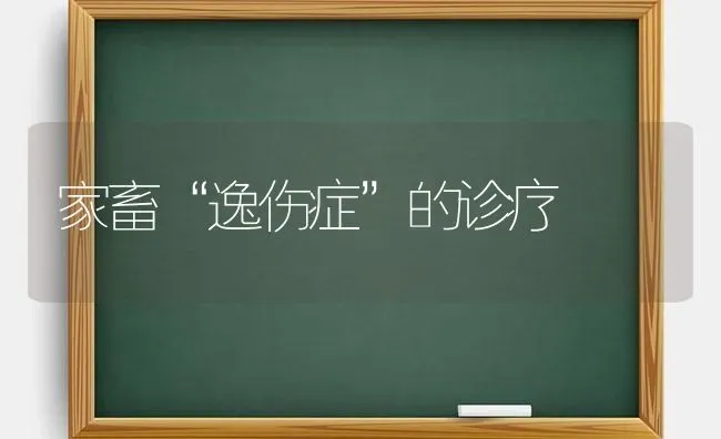 家畜“逸伤症”的诊疗 | 家畜养殖