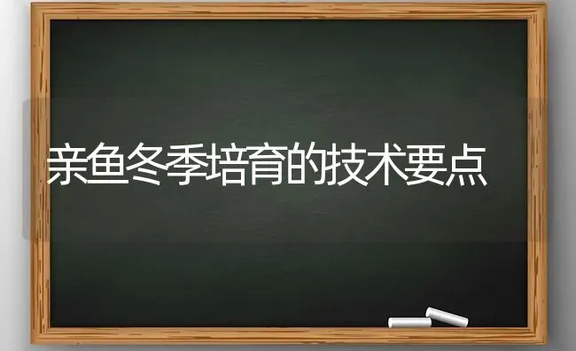 亲鱼冬季培育的技术要点 | 淡水养殖