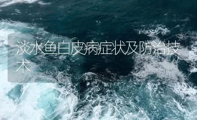 淡水鱼白皮病症状及防治技术 | 养殖病虫害防治