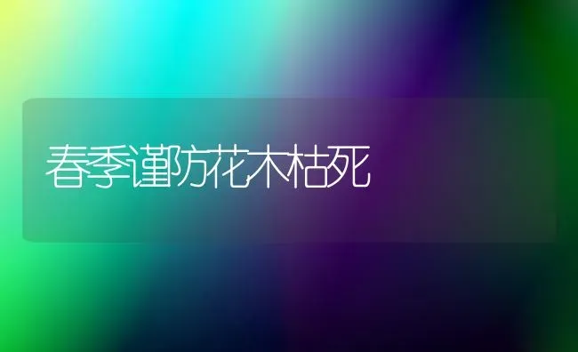 冬季养畜喂料应注意哪些事项饲草料不要单一 | 家畜养殖