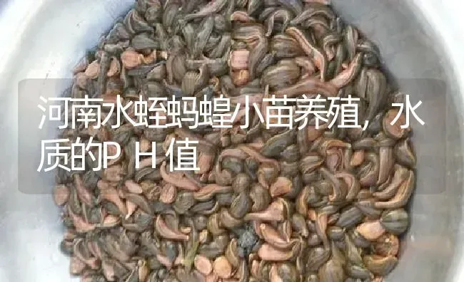 河南水蛭蚂蝗小苗养殖，水质的PH值 | 特种养殖