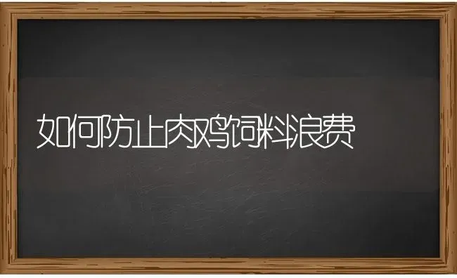 如何防止肉鸡饲料浪费 | 家禽养殖