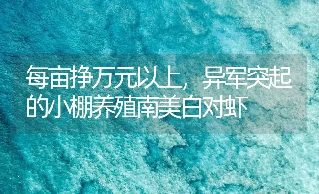 每亩挣万元以上，异军突起的小棚养殖南美白对虾 | 海水养殖