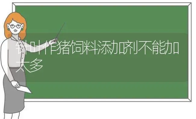 针叶作猪饲料添加剂不能加太多 | 家畜养殖