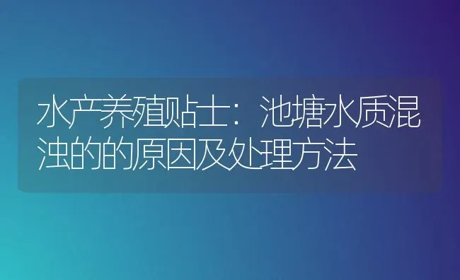 水产养殖贴士：池塘水质混浊的的原因及处理方法 | 动物养殖百科