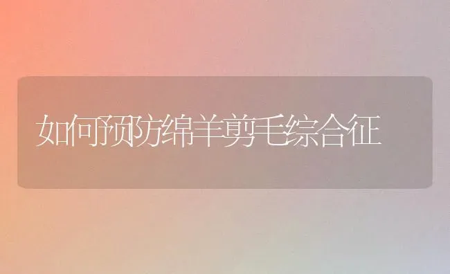 如何预防绵羊剪毛综合征 | 家畜养殖