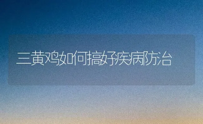 三黄鸡如何搞好疾病防治 | 家禽养殖