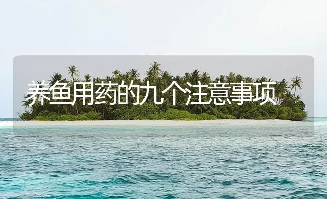 养鱼用药的九个注意事项 | 养殖病虫害防治