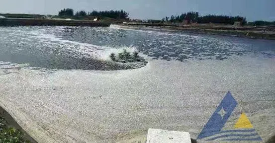 高位池水面大量泡沫的处理
