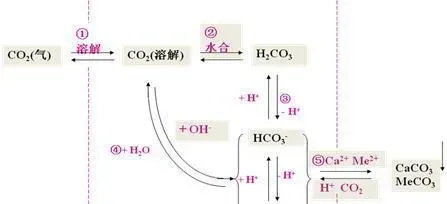 养殖池塘中pH对水质及养殖生产的影响