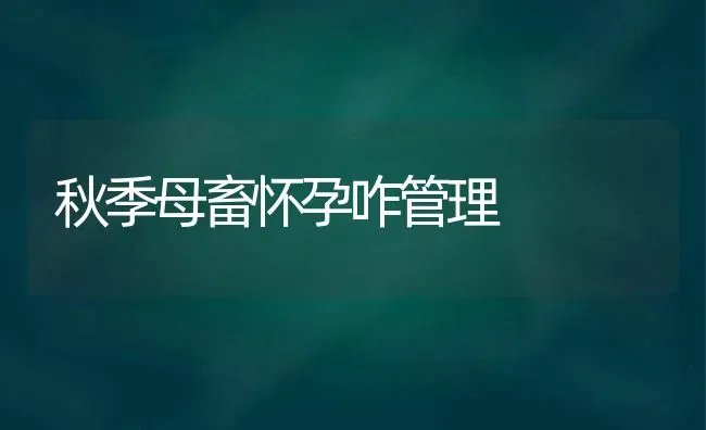 秋季母畜怀孕咋管理 | 家畜养殖
