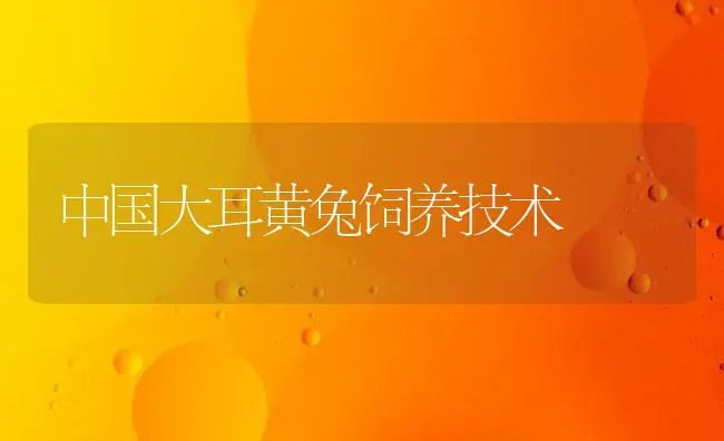 中国大耳黄兔饲养技术 | 家畜养殖