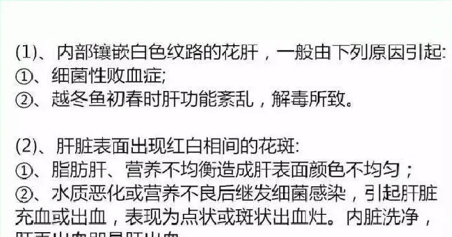 养鱼户如何解剖鱼体检查肝胆状况