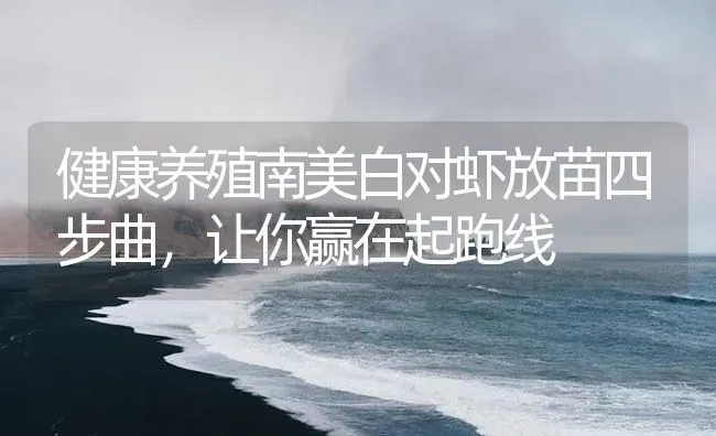 健康养殖南美白对虾放苗四步曲，让你赢在起跑线 | 海水养殖