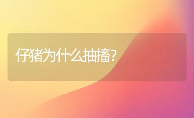 仔猪为什么抽搐？ | 家畜养殖