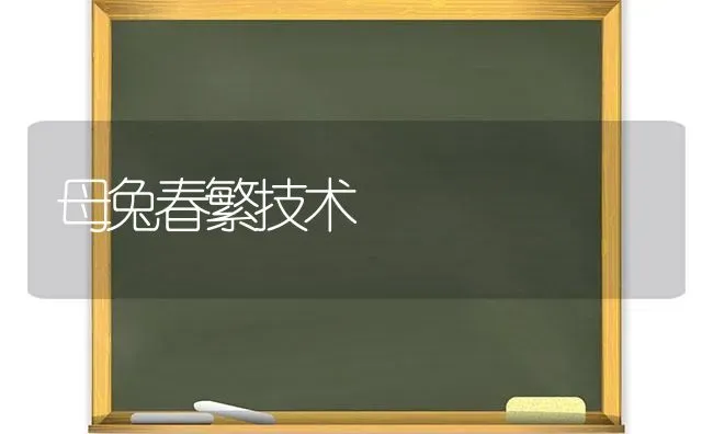 母兔春繁技术 | 家畜养殖