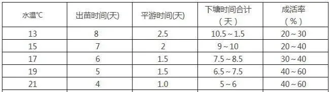 河鲈人工繁殖及夏花发塘技术的研究