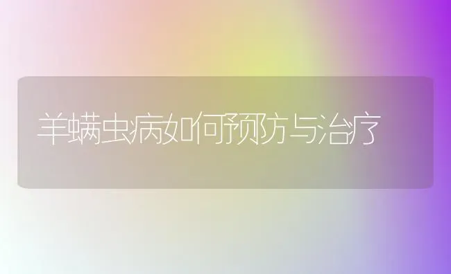 羊螨虫病如何预防与治疗 | 家畜养殖