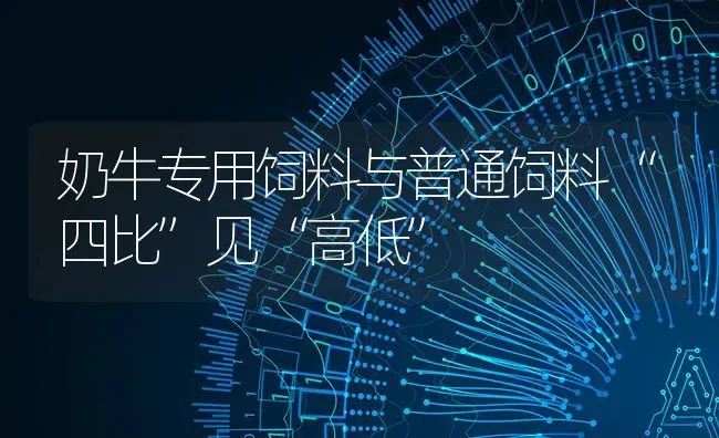 奶牛专用饲料与普通饲料“四比”见“高低” | 动物养殖饲料