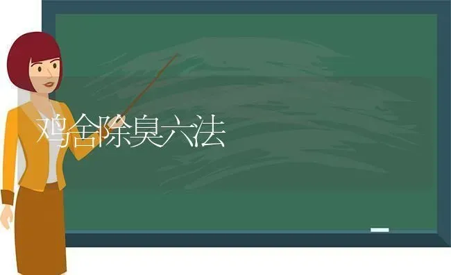 鸡舍除臭六法 | 家禽养殖