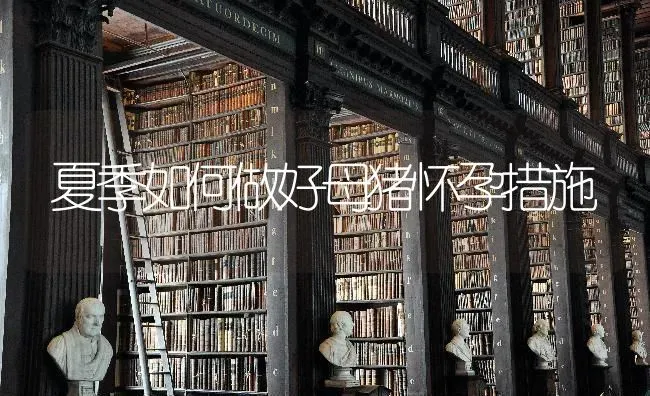 夏季如何做好母猪怀孕措施 | 家畜养殖