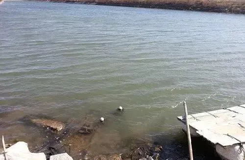 化冰后海参圈底质要维护 水体浑浊需注意