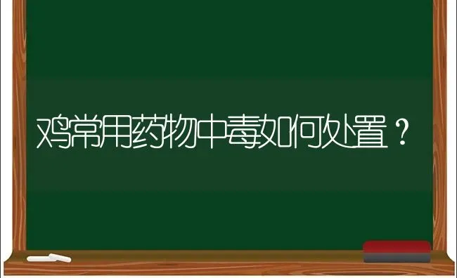 鸡常用药物中毒如何处置？ | 养殖病虫害防治