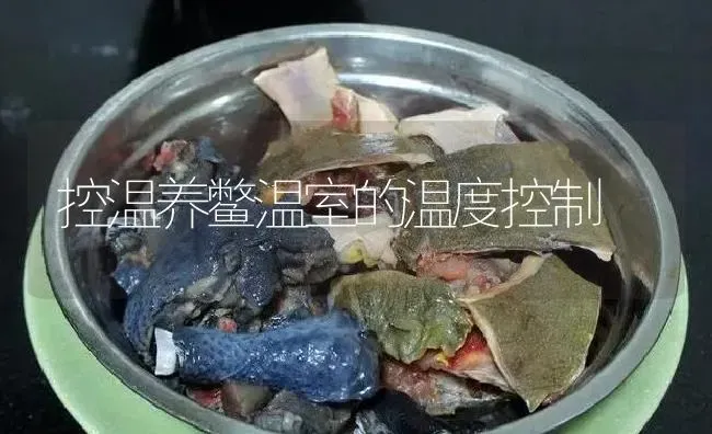 控温养鳖温室的温度控制 | 淡水养殖