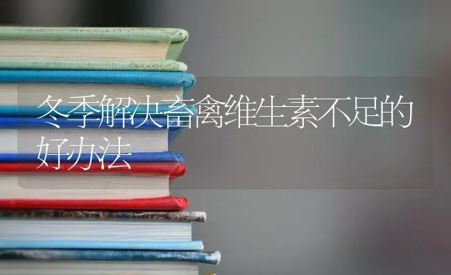 冬季解决畜禽维生素不足的好办法 | 家禽养殖