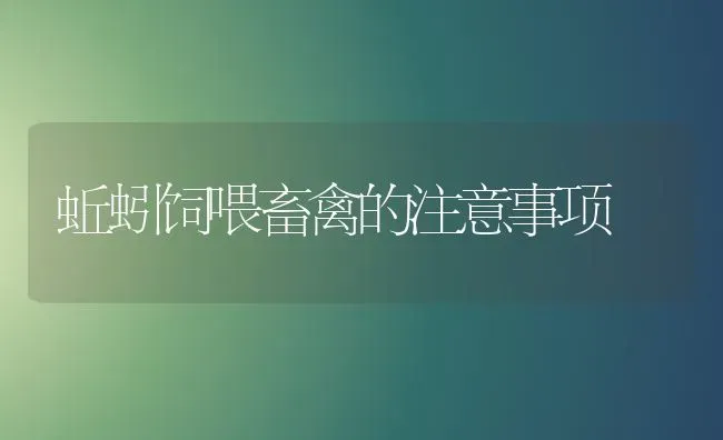 蚯蚓饲喂畜禽的注意事项 | 家禽养殖