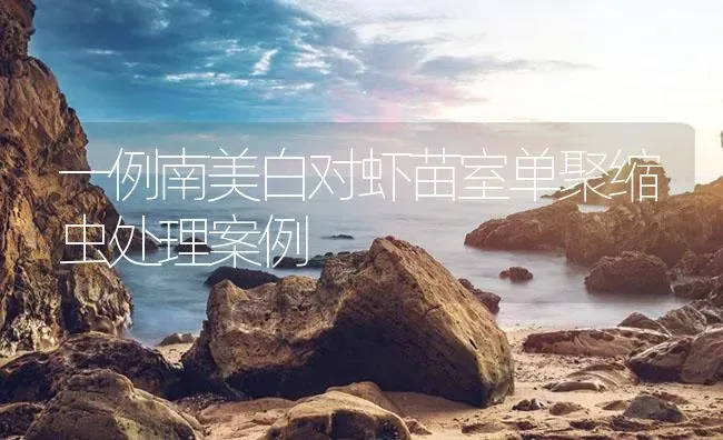 一例南美白对虾苗室单聚缩虫处理案例 | 海水养殖