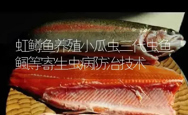 虹鳟鱼养殖小瓜虫三代虫鱼鲺等寄生虫病防治技术 | 淡水养殖
