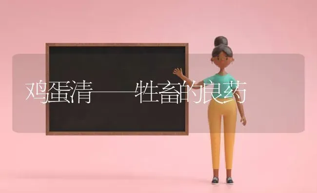 鸡蛋清——牲畜的良药 | 养殖病虫害防治