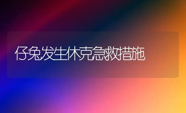 仔兔发生休克急救措施 | 家畜养殖