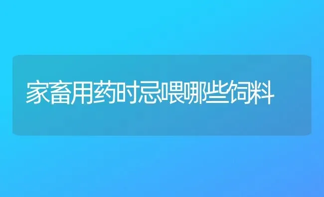 家畜用药时忌喂哪些饲料 | 养殖病虫害防治