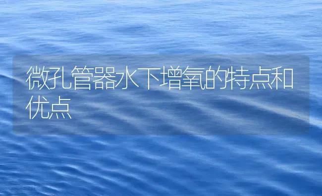 微孔管器水下增氧的特点和优点 | 动物养殖百科