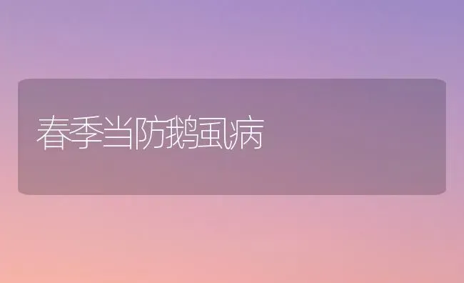 春季当防鹅虱病 | 家禽养殖