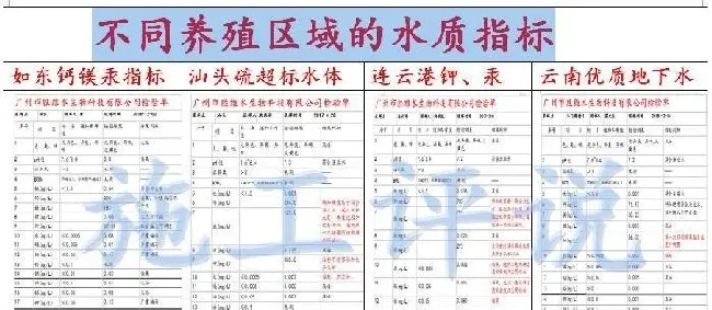 开春了，水产养殖户应该如何更加合理地整理池塘？