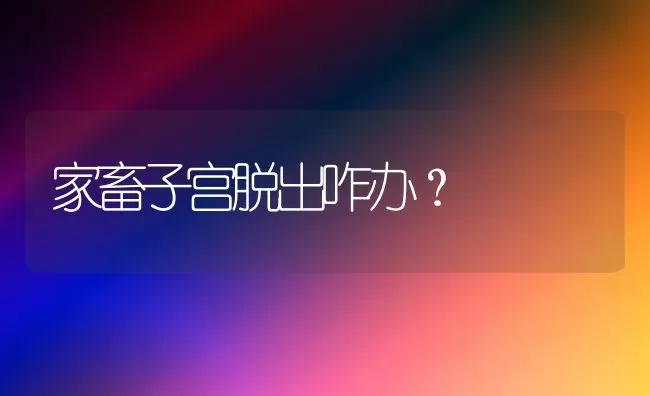 家畜子宫脱出咋办？ | 家畜养殖