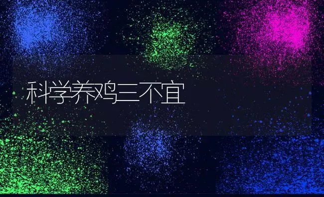 科学养鸡三不宜 | 家禽养殖