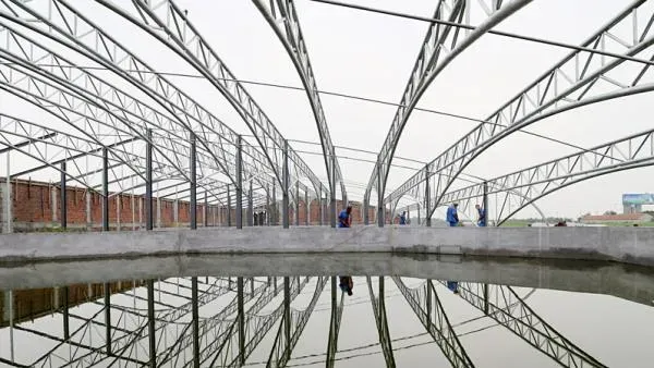 温棚养殖南美白对虾亚硝酸盐偏高的处理建议