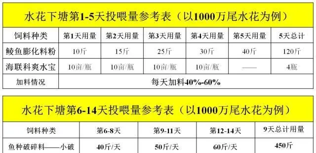 使用海大鲮鱼料配合海大鲮鱼开花方案效果显著