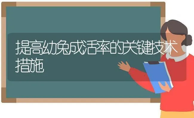 提高幼兔成活率的关键技术措施 | 家畜养殖